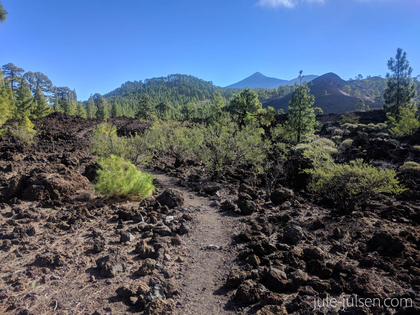 Wanderweg um den Chinyero - Lavafeld mit Blick zum Teide